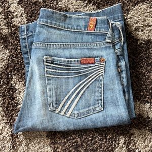 7 For All Mankind 26x32